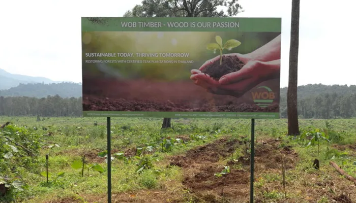 Nachhaltige Teak Plantagen Aufforstung Informationsschild zur Aufforstung von WOB Timber auf einer bepflanzten Fläche vor bewaldeten Hügeln in Thailand.